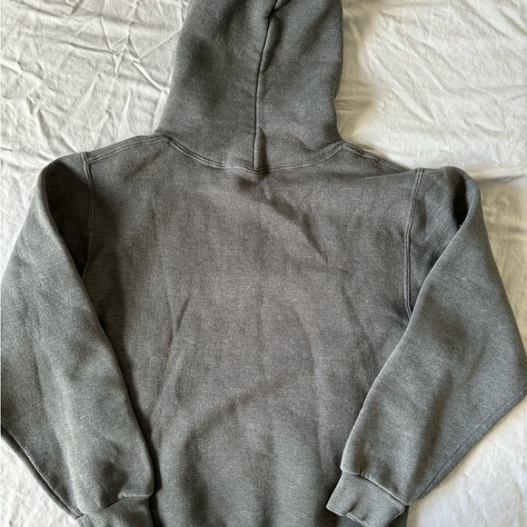 #261 The official Elmira College Soaring Eagles HOODIE. - Picture 11 of 12